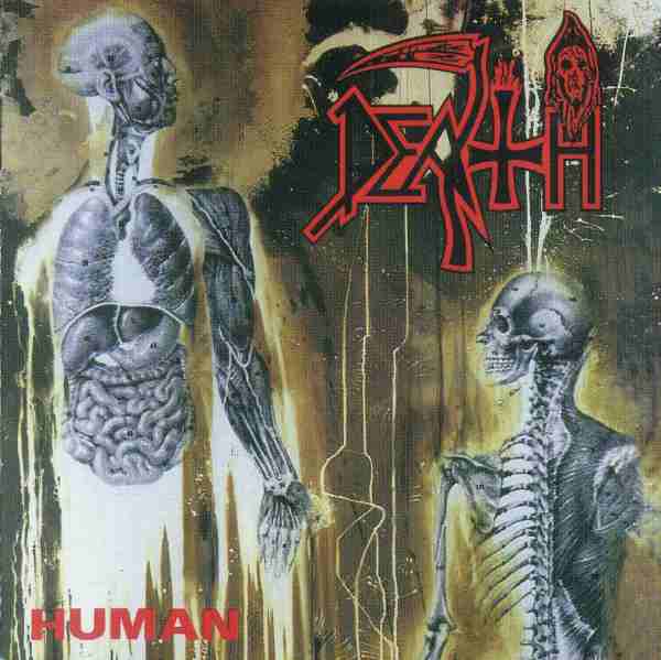human_human